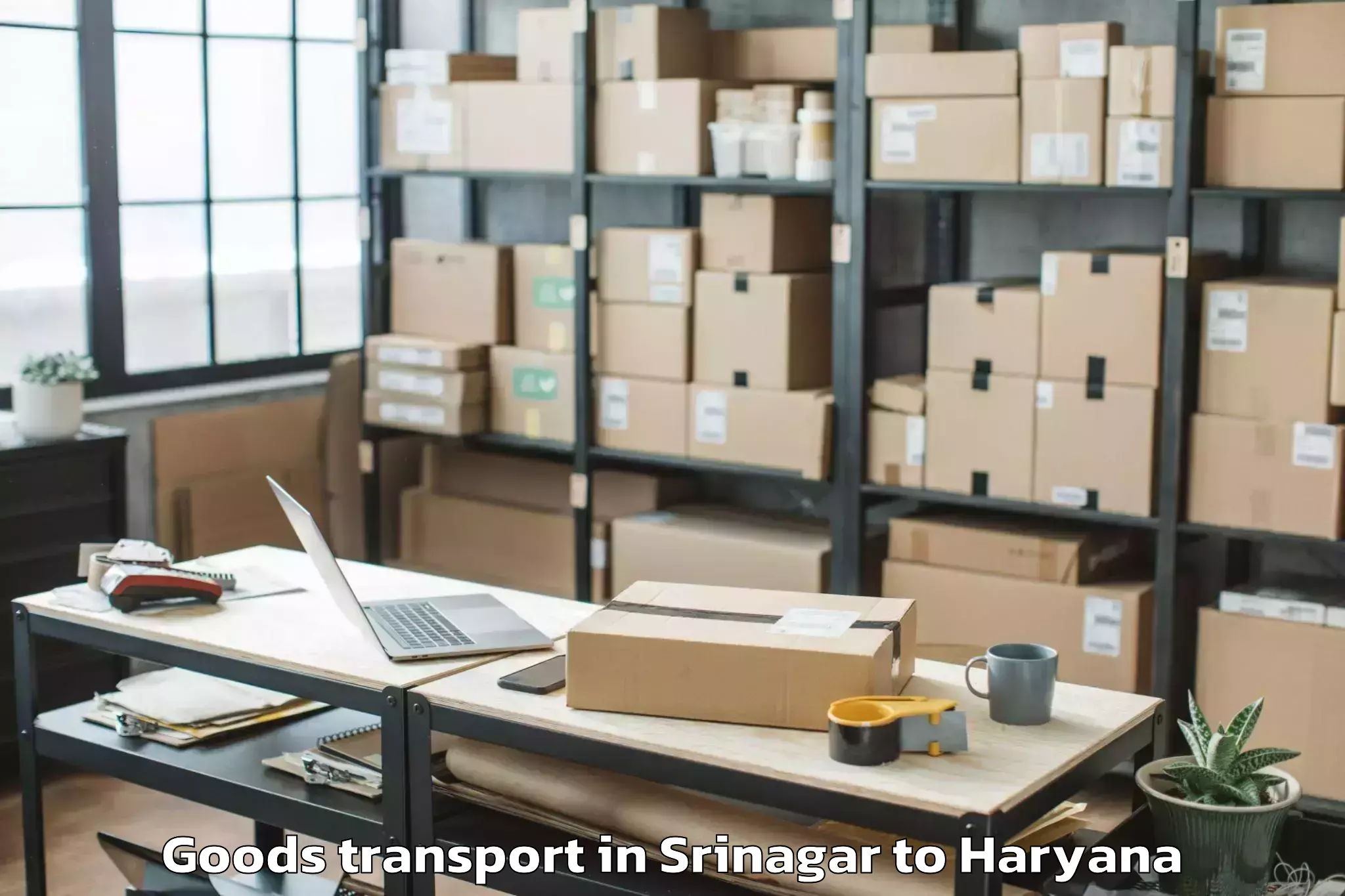 Efficient Srinagar to Bilaspur Haryana Goods Transport